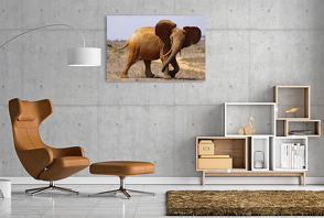 Premium Textil-Leinwand 1200 x 800 cm Quer-Format Elefant | Wandbild, HD-Bild auf Keilrahmen, Fertigbild auf hochwertigem Vlies, Leinwanddruck von Erika Müller