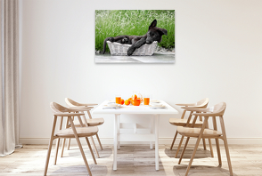 Premium Textil-Leinwand 1200 x 800 cm Quer-Format Little Police Dog | Wandbild, HD-Bild auf Keilrahmen, Fertigbild auf hochwertigem Vlies, Leinwanddruck von Daniela Bertschi