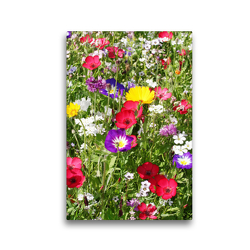 Premium Textil-Leinwand 30 x 45 cm Hoch-Format Bunte Blumenwiese | Wandbild, HD-Bild auf Keilrahmen, Fertigbild auf hochwertigem Vlies, Leinwanddruck von Gisela Kruse