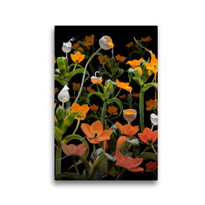 Premium Textil-Leinwand 30 x 45 cm Hoch-Format Caltha palustris | Wandbild, HD-Bild auf Keilrahmen, Fertigbild auf hochwertigem Vlies, Leinwanddruck von Olaf Bruhn