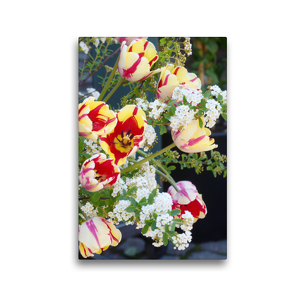 Premium Textil-Leinwand 30 x 45 cm Hoch-Format Ein Strauß Rembrandt-Tulpen mit Spierstrauch | Wandbild, HD-Bild auf Keilrahmen, Fertigbild auf hochwertigem Vlies, Leinwanddruck von Gisela Kruse