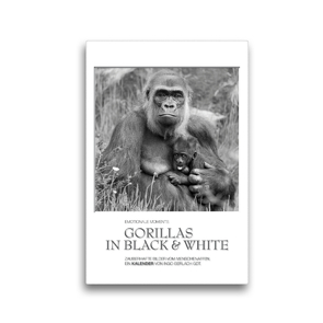Premium Textil-Leinwand 30 x 45 cm Hoch-Format Emotionale Momente: Gorillas in black & white / CH-Version | Wandbild, HD-Bild auf Keilrahmen, Fertigbild auf hochwertigem Vlies, Leinwanddruck von Ingo Gerlach GDT