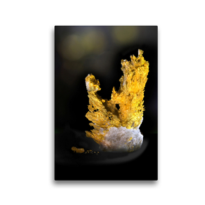 Premium Textil-Leinwand 30 x 45 cm Hoch-Format Gold | Wandbild, HD-Bild auf Keilrahmen, Fertigbild auf hochwertigem Vlies, Leinwanddruck von Heinz Schmidbauer