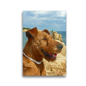 Premium Textil-Leinwand 30 x 45 cm Hoch-Format Kelly – eine Irish Terrier Dame auf Reisen | Wandbild, HD-Bild auf Keilrahmen, Fertigbild auf hochwertigem Vlies, Leinwanddruck von Claudia Schimon