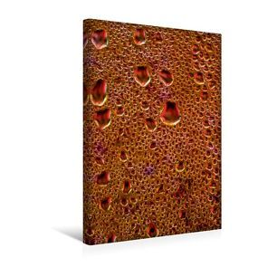 Premium Textil-Leinwand 30 x 45 cm Hoch-Format Red Planet | Wandbild, HD-Bild auf Keilrahmen, Fertigbild auf hochwertigem Vlies, Leinwanddruck von Nihat Uysal von Uysal,  Nihat
