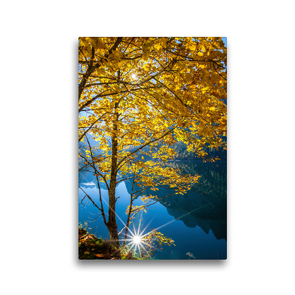 Premium Textil-Leinwand 30 x 45 cm Hoch-Format Schöne Bäume in Hochformat | Wandbild, HD-Bild auf Keilrahmen, Fertigbild auf hochwertigem Vlies, Leinwanddruck von Christa Kramer
