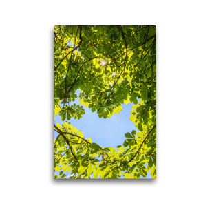 Premium Textil-Leinwand 30 x 45 cm Hoch-Format Schöne Bäume in Hochformat | Wandbild, HD-Bild auf Keilrahmen, Fertigbild auf hochwertigem Vlies, Leinwanddruck von Christa Kramer
