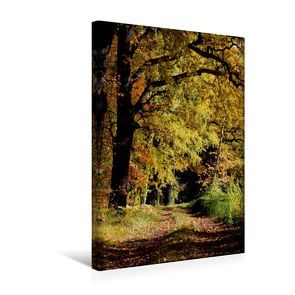 Premium Textil-Leinwand 30 x 45 cm Hoch-Format Schöne Wege laden ein | Wandbild, HD-Bild auf Keilrahmen, Fertigbild auf hochwertigem Vlies, Leinwanddruck von Anette/Thomas Jäger von Jäger,  Anette/Thomas