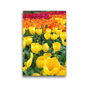 Premium Textil-Leinwand 30 x 45 cm Hoch-Format Triumph-Tulpen | Wandbild, HD-Bild auf Keilrahmen, Fertigbild auf hochwertigem Vlies, Leinwanddruck von Eugeniya Kareva