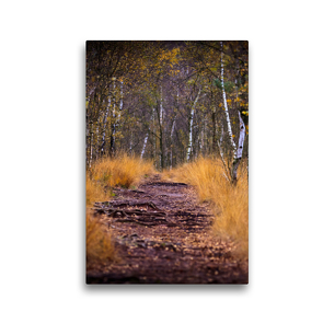 Premium Textil-Leinwand 30 x 45 cm Hoch-Format Wege im Moor | Wandbild, HD-Bild auf Keilrahmen, Fertigbild auf hochwertigem Vlies, Leinwanddruck von Gero von Kitzing