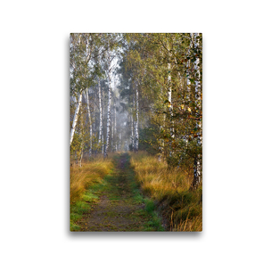Premium Textil-Leinwand 30 x 45 cm Hoch-Format Wege im Moor | Wandbild, HD-Bild auf Keilrahmen, Fertigbild auf hochwertigem Vlies, Leinwanddruck von Gero von Kitzing