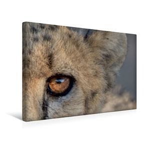 Premium Textil-Leinwand 45 x 30 cm Quer-Format BIG CATS – Namibias Raubkatzen | Wandbild, HD-Bild auf Keilrahmen, Fertigbild auf hochwertigem Vlies, Leinwanddruck von Irma van der Wiel von van der Wiel,  Irma