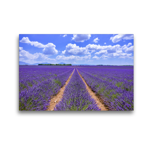 Premium Textil-Leinwand 45 x 30 cm Quer-Format Blühender Lavendel bei Valensole | Wandbild, HD-Bild auf Keilrahmen, Fertigbild auf hochwertigem Vlies, Leinwanddruck von Jürgen Feuerer