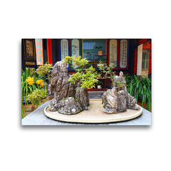 Premium Textil-Leinwand 45 x 30 cm Quer-Format Bonsai – alte chinesische Gartenkunst | Wandbild, HD-Bild auf Keilrahmen, Fertigbild auf hochwertigem Vlies, Leinwanddruck von Thomas Böhm