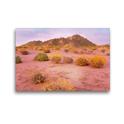 Premium Textil-Leinwand 45 x 30 cm Quer-Format Bunte Wildpflanzen vor imposanten Bergen am Rande der Sonora Wüste bei Sonnenuntergang | Wandbild, HD-Bild auf Keilrahmen, Fertigbild auf hochwertigem Vlies, Leinwanddruck von CALVENDO