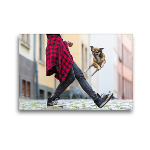 Premium Textil-Leinwand 45 x 30 cm Quer-Format Dogdancing in der Stadt | Wandbild, HD-Bild auf Keilrahmen, Fertigbild auf hochwertigem Vlies, Leinwanddruck von Christian Müller