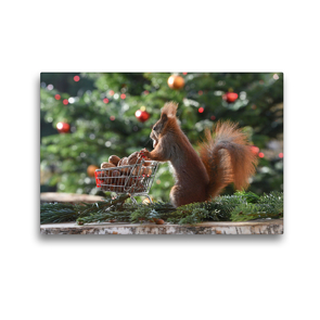 Premium Textil-Leinwand 45 x 30 cm Quer-Format Eichhörnchen Shopping | Wandbild, HD-Bild auf Keilrahmen, Fertigbild auf hochwertigem Vlies, Leinwanddruck von Heike Adam