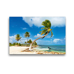 Premium Textil-Leinwand 45 x 30 cm Quer-Format Ein kleines Boot ankert vor einem traumhaften Palmenstrand an der Costa Maya | Wandbild, HD-Bild auf Keilrahmen, Fertigbild auf hochwertigem Vlies, Leinwanddruck von CALVENDO
