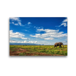 Premium Textil-Leinwand 45 x 30 cm Quer-Format Elefant in der Savanne | Wandbild, HD-Bild auf Keilrahmen, Fertigbild auf hochwertigem Vlies, Leinwanddruck von Michael Zech Fotografie