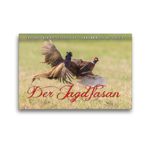 Premium Textil-Leinwand 45 x 30 cm Quer-Format Emotionale Momente: Der Jagdfasan. | Wandbild, HD-Bild auf Keilrahmen, Fertigbild auf hochwertigem Vlies, Leinwanddruck von Ingo Gerlach