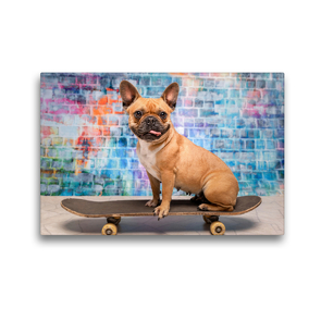 Premium Textil-Leinwand 45 x 30 cm Quer-Format Franz. Bulldogge auf Skateboard | Wandbild, HD-Bild auf Keilrahmen, Fertigbild auf hochwertigem Vlies, Leinwanddruck von Sonja Teßen