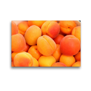 Premium Textil-Leinwand 45 x 30 cm Quer-Format Frische Aprikosen | Wandbild, HD-Bild auf Keilrahmen, Fertigbild auf hochwertigem Vlies, Leinwanddruck von Rose Hurley