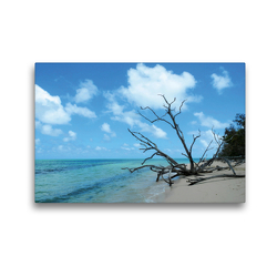 Premium Textil-Leinwand 45 x 30 cm Quer-Format Green Island | Wandbild, HD-Bild auf Keilrahmen, Fertigbild auf hochwertigem Vlies, Leinwanddruck von Andrea Pons