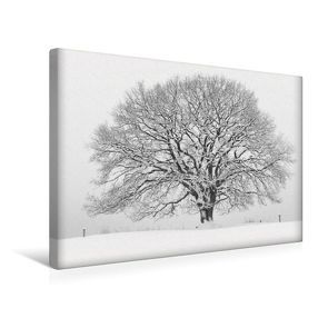 Premium Textil-Leinwand 45 x 30 cm Quer-Format Januar: Der Winter hält die Natur fest im Griff. | Wandbild, HD-Bild auf Keilrahmen, Fertigbild auf hochwertigem Vlies, Leinwanddruck von Ingo Gerlach GDT von Gerlach GDT,  Ingo