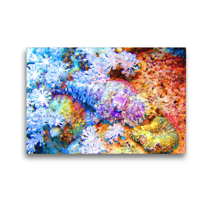 Premium Textil-Leinwand 45 x 30 cm Quer-Format Korallenriffe und ihre Bewohner | Wandbild, HD-Bild auf Keilrahmen, Fertigbild auf hochwertigem Vlies, Leinwanddruck von Andrea Hess