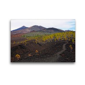 Premium Textil-Leinwand 45 x 30 cm Quer-Format Landschaft im Teide Nationalpark Teneriffa | Wandbild, HD-Bild auf Keilrahmen, Fertigbild auf hochwertigem Vlies, Leinwanddruck von Anja Frost