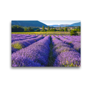 Premium Textil-Leinwand 45 x 30 cm Quer-Format Lavendelfeld in Südfrankreich | Wandbild, HD-Bild auf Keilrahmen, Fertigbild auf hochwertigem Vlies, Leinwanddruck von Jürgen Feuerer