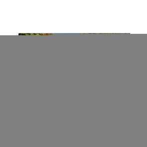 Premium Textil-Leinwand 45 x 30 cm Quer-Format Lebensfreude mit Mammut | Wandbild, HD-Bild auf Keilrahmen, Fertigbild auf hochwertigem Vlies, Leinwanddruck von Meike Bölts