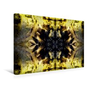 Premium Textil-Leinwand 45 x 30 cm Quer-Format Meomo | Wandbild, HD-Bild auf Keilrahmen, Fertigbild auf hochwertigem Vlies, Leinwanddruck von NUPHO Nihat Uysal Photography von - Nihat Uysal Photography,  NUPHO