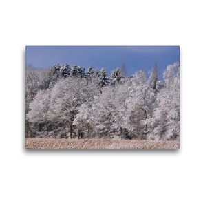 Premium Textil-Leinwand 45 x 30 cm Quer-Format Mischwald im Winter | Wandbild, HD-Bild auf Keilrahmen, Fertigbild auf hochwertigem Vlies, Leinwanddruck von kattobello