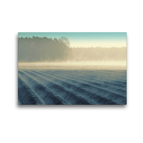 Premium Textil-Leinwand 45 x 30 cm Quer-Format Nebelmorgen über dem Spargelfeld von Tanja Riedel | Wandbild, HD-Bild auf Keilrahmen, Fertigbild auf hochwertigem Vlies, Leinwanddruck von N N