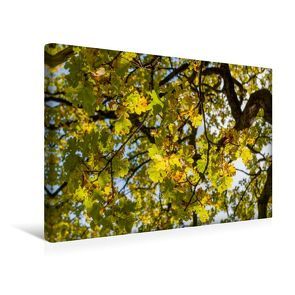 Premium Textil-Leinwand 45 x 30 cm Quer-Format Oktober: Der Herbst schickt seine goldene Farbe durch die gelben Blätter. | Wandbild, HD-Bild auf Keilrahmen, Fertigbild auf hochwertigem Vlies, Leinwanddruck von Ingo Gerlach GDT von Gerlach GDT,  Ingo