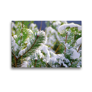 Premium Textil-Leinwand 45 x 30 cm Quer-Format Perpetual winter Dreams by Tanja Riedel | Wandbild, HD-Bild auf Keilrahmen, Fertigbild auf hochwertigem Vlies, Leinwanddruck von N N