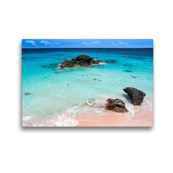 Premium Textil-Leinwand 450 x 300 cm Quer-Format Pink Coral Beach – Bermuda | Wandbild, HD-Bild auf Keilrahmen, Fertigbild auf hochwertigem Vlies, Leinwanddruck von steffen sennewald