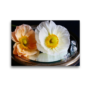 Premium Textil-Leinwand 45 x 30 cm Quer-Format Prachtvolle Mohnblüten auf altem Spiegel | Wandbild, HD-Bild auf Keilrahmen, Fertigbild auf hochwertigem Vlies, Leinwanddruck von Gisela Kruse