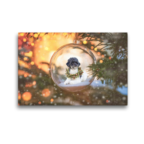 Premium Textil-Leinwand 45 x 30 cm Quer-Format Pudel Weihnachten | Wandbild, HD-Bild auf Keilrahmen, Fertigbild auf hochwertigem Vlies, Leinwanddruck von Sabine Böke-Bergau