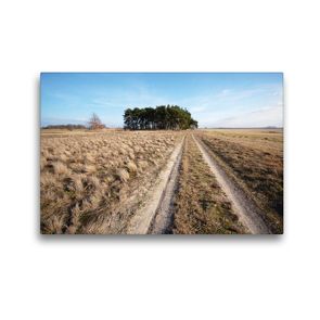 Premium Textil-Leinwand 45 x 30 cm Quer-Format Sandweg. Landschaft im Havelland. | Wandbild, HD-Bild auf Keilrahmen, Fertigbild auf hochwertigem Vlies, Leinwanddruck von Anja Frost
