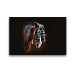 Premium Textil-Leinwand 45 x 30 cm Quer-Format Shirehorse Luis | Wandbild, HD-Bild auf Keilrahmen, Fertigbild auf hochwertigem Vlies, Leinwanddruck von Nicole Bleck