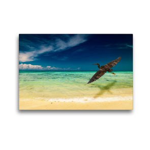 Premium Textil-Leinwand 45 x 30 cm Quer-Format Traumstrand auf Mantanani Island, Borneo. | Wandbild, HD-Bild auf Keilrahmen, Fertigbild auf hochwertigem Vlies, Leinwanddruck von Arne Wünsche