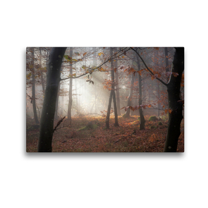 Premium Textil-Leinwand 45 x 30 cm Quer-Format Wald im Licht | Wandbild, HD-Bild auf Keilrahmen, Fertigbild auf hochwertigem Vlies, Leinwanddruck von Simone Wunderlich