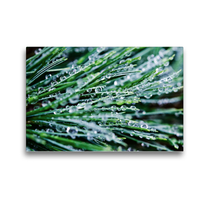 Premium Textil-Leinwand 45 x 30 cm Quer-Format Wasserperlen | Wandbild, HD-Bild auf Keilrahmen, Fertigbild auf hochwertigem Vlies, Leinwanddruck von Nina Schwarze