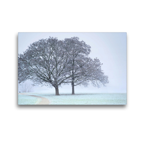 Premium Textil-Leinwand 45 x 30 cm Quer-Format Wintermorgen am Rhein. | Wandbild, HD-Bild auf Keilrahmen, Fertigbild auf hochwertigem Vlies, Leinwanddruck von Thomas Seethaler