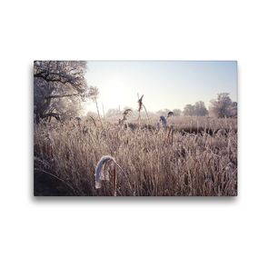 Premium Textil-Leinwand 45 x 30 cm Quer-Format Winterstimmung an der Schilfkante der Havel. Landschaft im Havelland. | Wandbild, HD-Bild auf Keilrahmen, Fertigbild auf hochwertigem Vlies, Leinwanddruck von Anja Frost