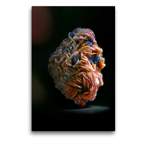 Premium Textil-Leinwand 50 x 75 cm Hoch-Format Baryt mit Antinomit | Wandbild, HD-Bild auf Keilrahmen, Fertigbild auf hochwertigem Vlies, Leinwanddruck von Heinz Schmidbauer