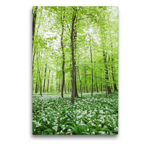 Premium Textil-Leinwand 50 x 75 cm Hoch-Format Eifel – Glücklicher Bärlauchwald | Wandbild, HD-Bild auf Keilrahmen, Fertigbild auf hochwertigem Vlies, Leinwanddruck von N N