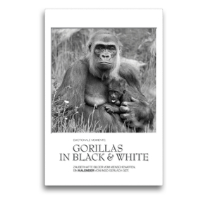 Premium Textil-Leinwand 50 x 75 cm Hoch-Format Emotionale Momente: Gorillas in black & white / CH-Version | Wandbild, HD-Bild auf Keilrahmen, Fertigbild auf hochwertigem Vlies, Leinwanddruck von Ingo Gerlach GDT